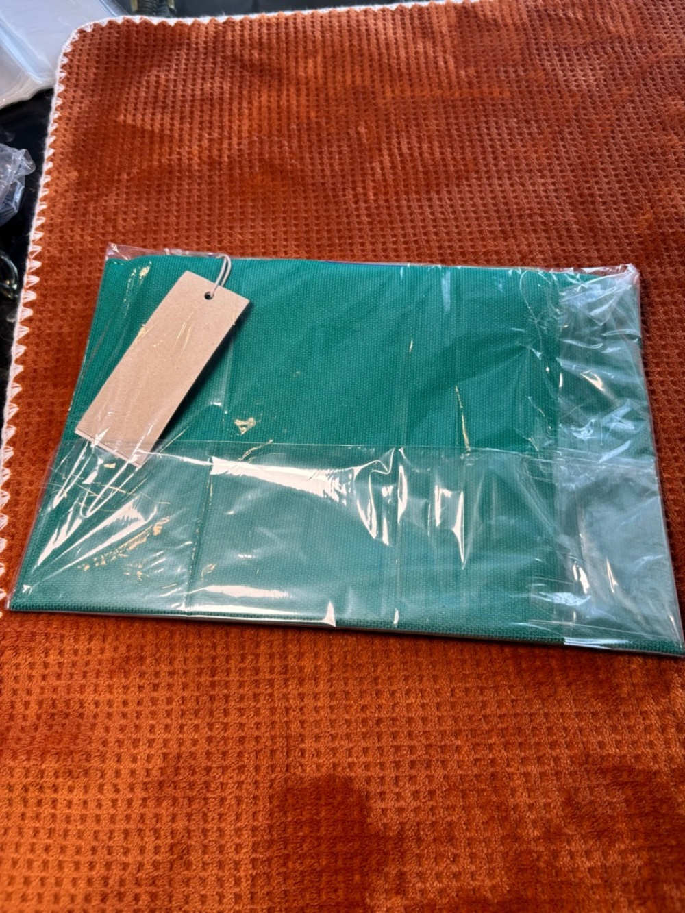 Rothy's Green Zip Pouch - Picture 4 of 4